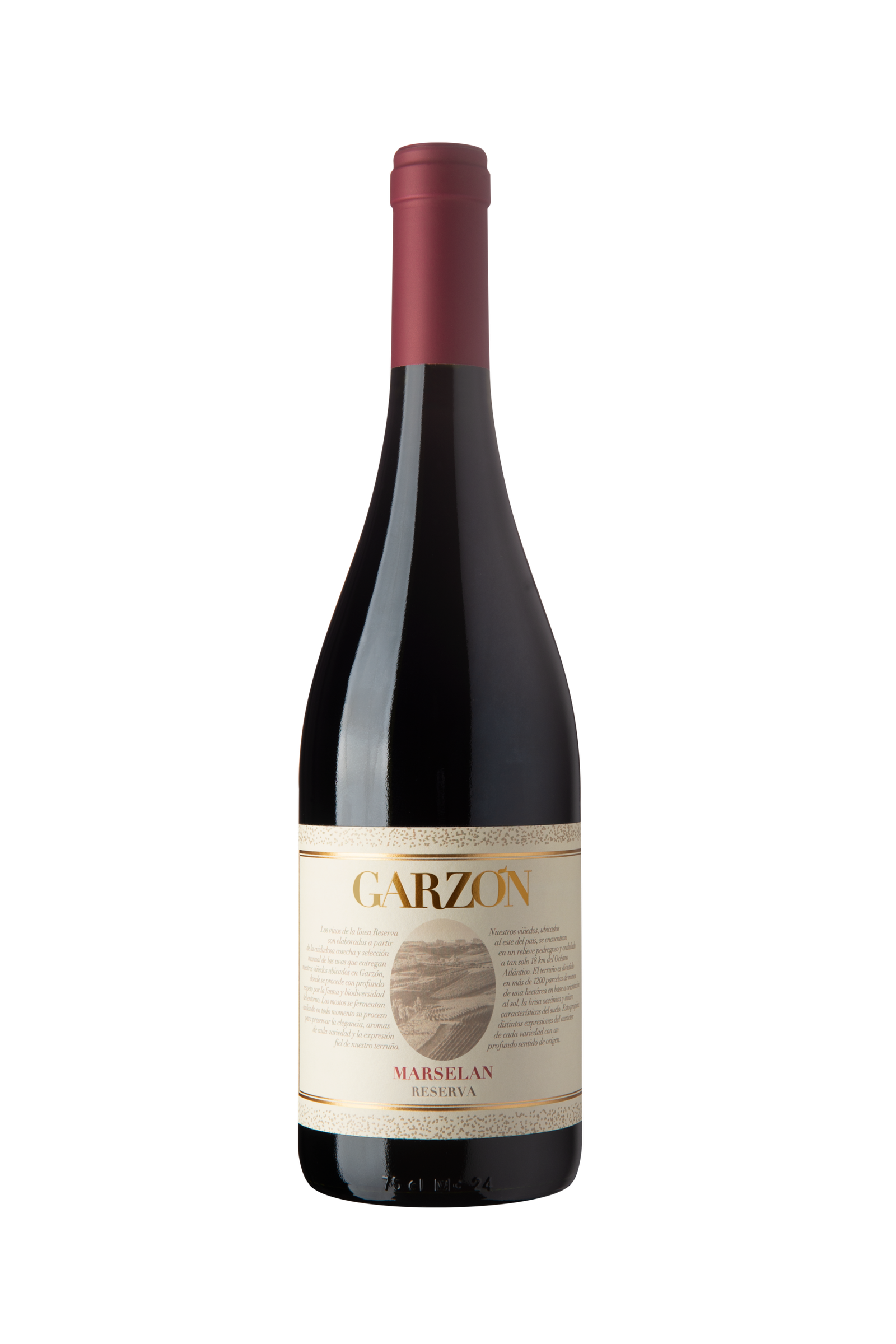 Garzon Marselan Reserva