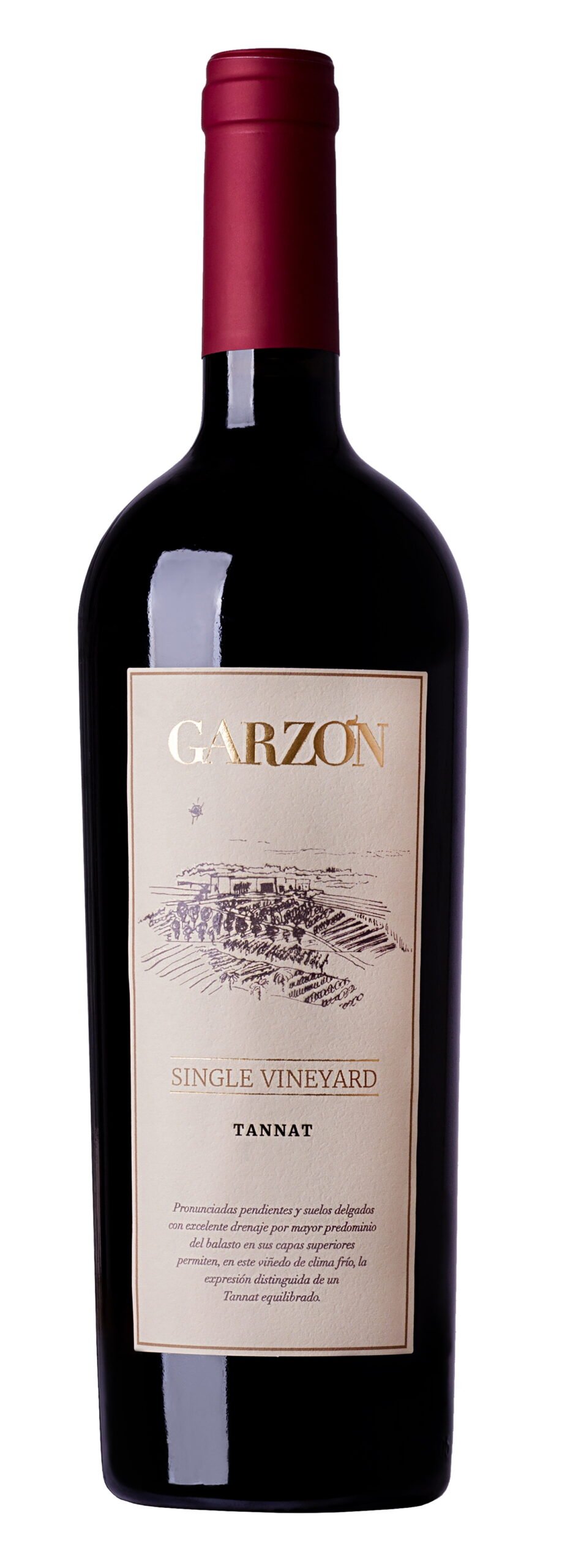 Garzon Single Vineyard Tannat